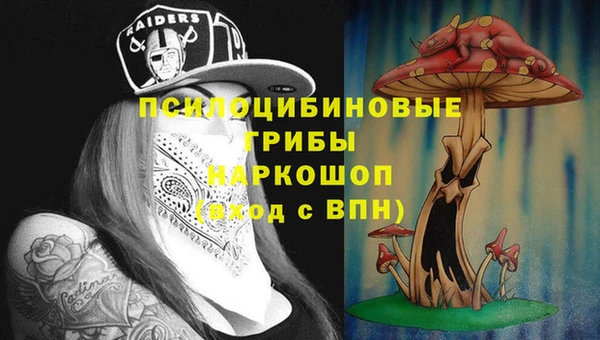 a pvp Володарск