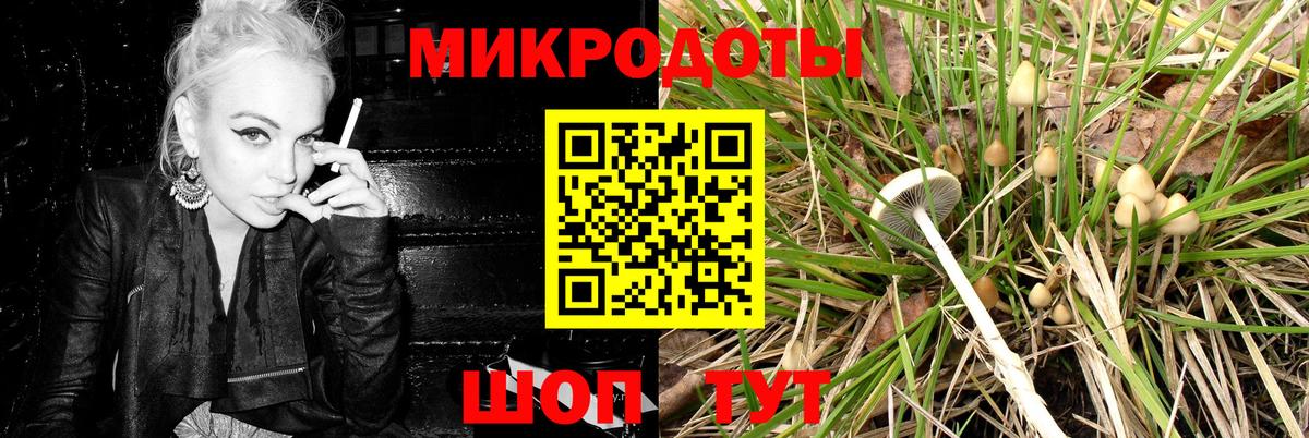 Галлюциногенные грибы MAGIC MUSHROOMS  Вход с VPN  Галлюциногенные грибы мухоморы  Славянск-на-Кубани 